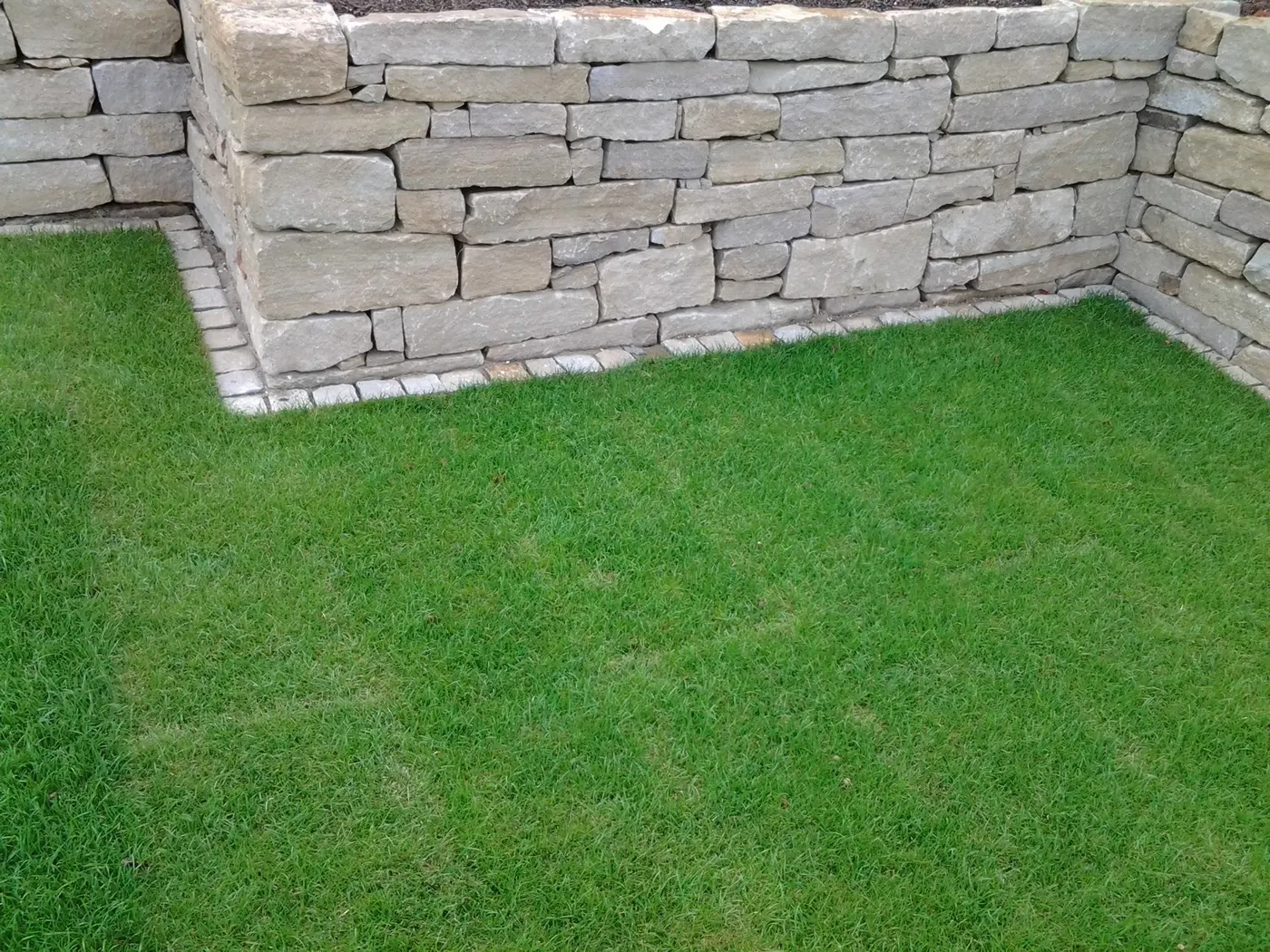 Frischer Rollrasen vor einer Natursteinmauer